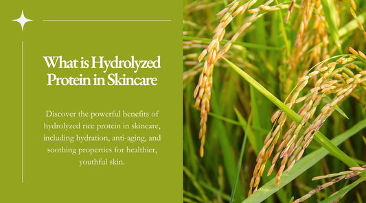 hydrolyzed rice protein in skincare  Lancolia