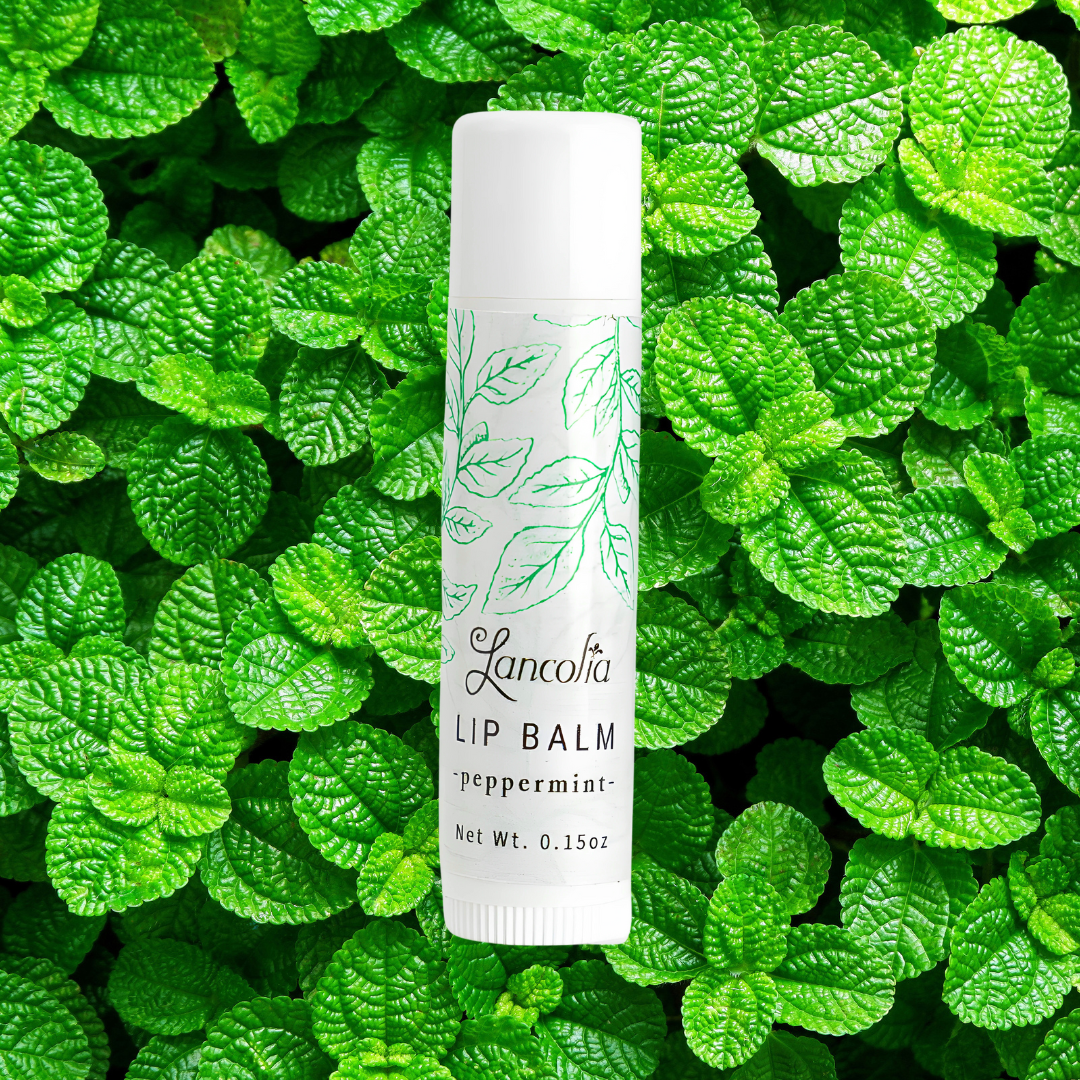 peppermint moisturizing lip balm for dry lips lancolia